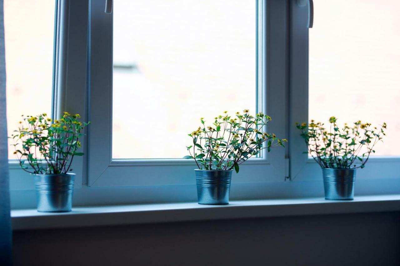 Tkalcha4U Apartment ซาเกร็บ ภายนอก รูปภาพ